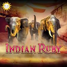 Indian Ruby – Bewertung Indian Ruby – Bewertung